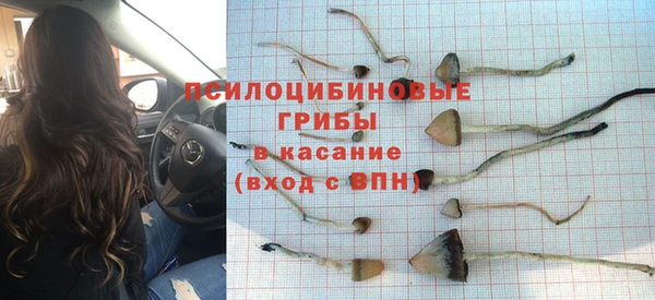 дурь Бугульма